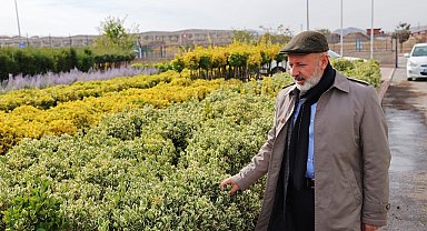 Başkan Çolakbayrakdar: "Kocasinan'da her mevsim başka güzel"