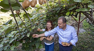Başkan Seçer, 'Kivi Şenliği'ne katıldı
