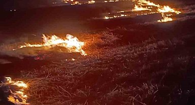 Batman'da anız yangını kontrol altına alındı