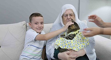 Bebek gibi giydirdiği kedisiyle 82 yaşında fenomen oldu