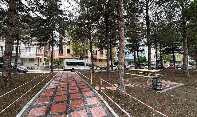 Belediye Varinli Caddesi'nde çevre düzenlemesi yaptı