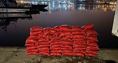 Beyoğlu'nda 75 çuval kaçak midye ele geçirildi