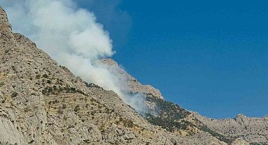 Beytüşşebap'ta örtü yangını