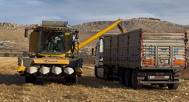 Biçerdöver operatörlerinin zorlu mesaisi devam ediyor