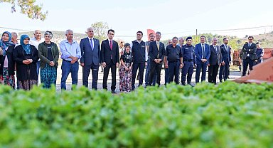 Bilecik'te 1 milyon 126 adet marul fidesi dağıtıldı