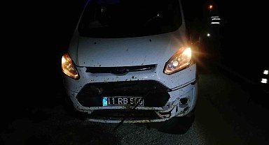 Bilecik'te aracın çarptığı 3 koyun telef oldu