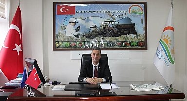 Bilecik'te çiftçilerin kahverengi kokarca paniği