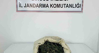 Bingöl'de 1 kilo 975 gram esrar ele geçirildi