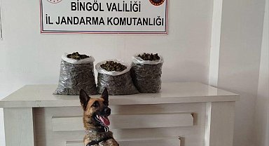 Bingöl'de 4,5 kilo esrar ele geçirildi