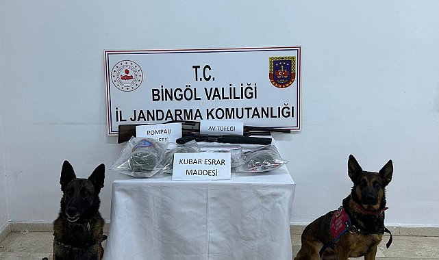 Bingöl'de 7 şüpheli gözaltına alındı