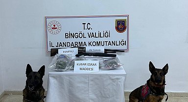 Bingöl'de 7 şüpheli gözaltına alındı