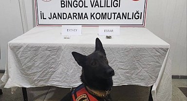 Bingöl'de jandarma ekipler suçlulara göz açtırmıyor