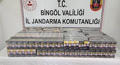Bingöl'de kaçak kazı yapan 2 kişi yakalandı