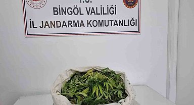 Bingöl'de uyuşturucu operasyonu