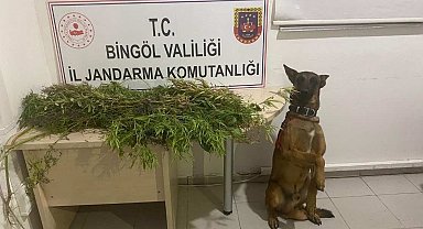 Bingöl'de uyuşturucuyla mücadele