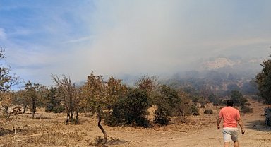 Bodrum'da ağaçlık alanda yangın çıktı