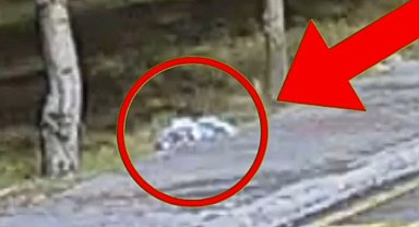 Bolu'da çöp atanlar kameralardan kaçamadı: Cezayı yediler