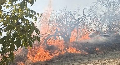 Bozdağ'da 1 ayda 7 ayrı yerde yangın çıktı