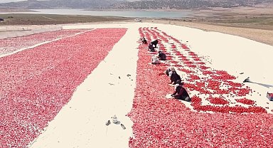 Bozkırda kurutulan domatesler işlendikten sonra yurt dışına gönderiliyor