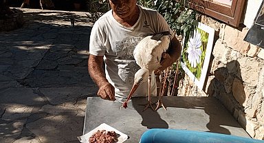 Bulgaristan'dan Kuşadası'na gelen yaralı leylek tedavi edilip, doğaya salındı