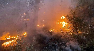 Burdur'da çıkan orman yangını kontrol altına alındı