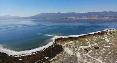 Burdurlu Gazeteciler kuraklıkla boğuşan Burdur Gölü'nü kurtarmak için fidan dikti