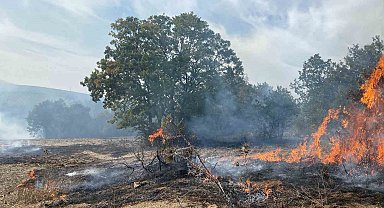 Bursa'da peş peşe yangın Ormanlık alanda çıkan yangına ekiplerin müdahalesi sürüyor