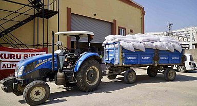 Büyükşehir'den biber üreticisine destek