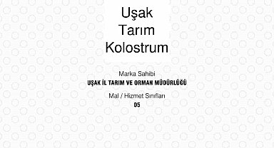 Buzağı ölümlerine karşı önemli adım