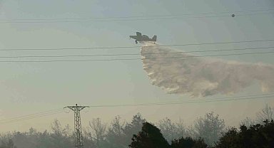Çanakkale Valisi Toraman: "Yangın kontrol altına alındı, 4 hektarlık alan etkilendi"