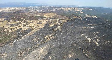 Çanakkale'de 2 yılda 277 orman yangınında 9 bin 859 futbol sahası büyüklüğünde orman yok oldu