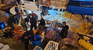 Çanakkale'de balıkçıların ağına 800 çift palamut takıldı