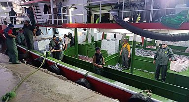 Çanakkale'de denetlenen 232 bin 700 kilogram hamsi karaya çıkarıldı
