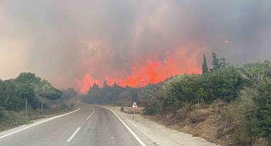 Çanakkale'de ormanlara giriş yasağı 30 Kasım'a kadar uzatıldı