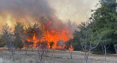 Çanakkale'deki orman yangınında 2 kişi gözaltına alındı