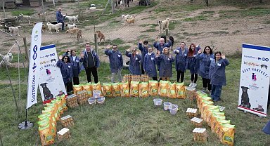 CarrefourSA Dost Hareketi ile sokak hayvanlarına desteğe devam ediyor