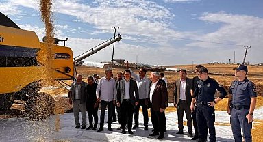 Çermik'te tescilli Karacadağ pirinci hasadı başladı