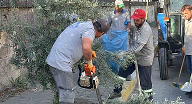 Çiçek gibi Nazilli için belediye ekipleri durmuyor