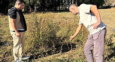 Çiftçilere gübreleme ve ilaçlama programları hazırlandı
