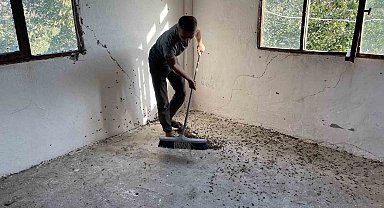 Çiftçinin korkulu rüyası kokarca mahalleyi istila etti