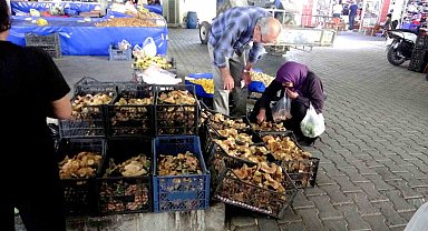 Çıntarlar pazar tezgahlarında yerini aldı