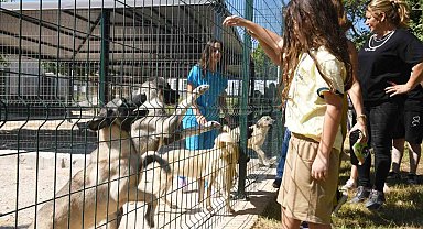 Çocuklar hayvan bakımevini gezdi