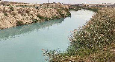 Çorlu Deresi turkuaz renge büründü