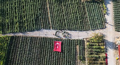 Cumhuriyetin 101. yılı için zeytin fidanlarıyla Türk Bayrağı'nı oluşturdu