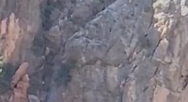 Dağda mahsur kalan keçiler kurtarılmayı bekliyor