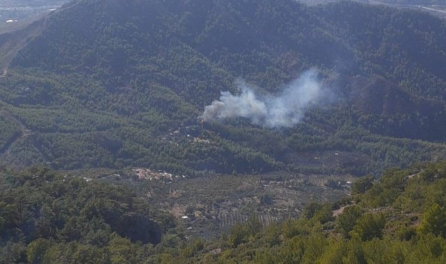 Dalaman'da orman yangını
