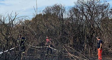 Datça'da ağaçlık alan yangını büyümeden söndürüldü