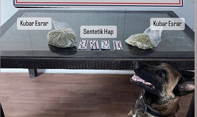 Delta, valizdeki uyuşturucuyu buldu