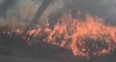 Denizli'de çıkan orman yangını paniğe neden oldu