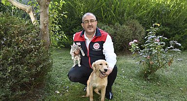 Denizli'de hayvanlara karşı işlenen suçlar cezasız kalmıyor